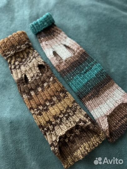 Одежда для кошек сфинкс