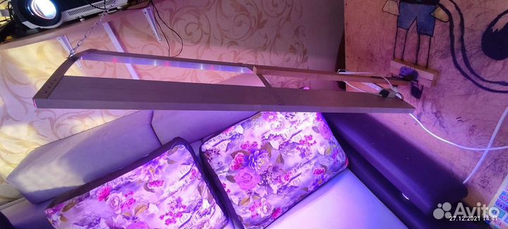 Светодиодный солярий Коробова