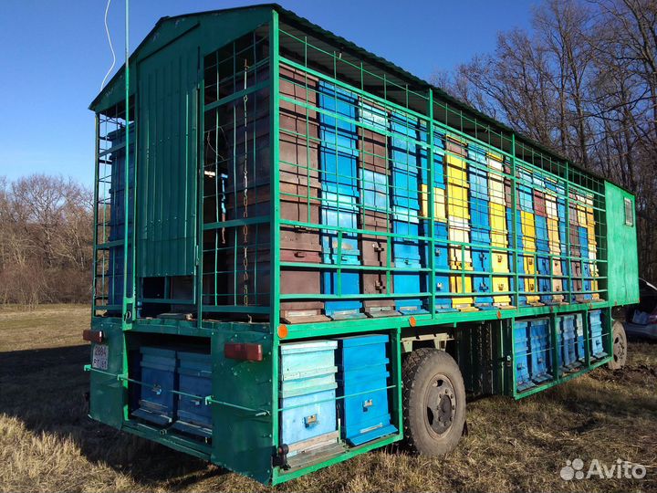 Пчеловодство