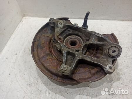 Кулак задний левый