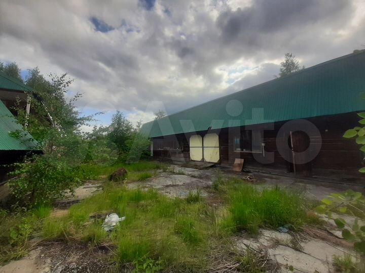 Производство, 215.2 м²