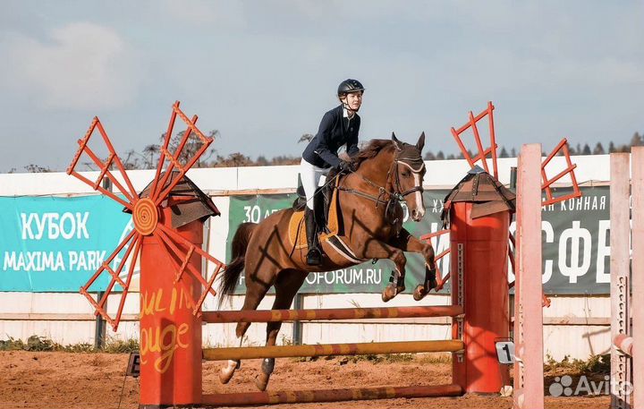 Тренировки по конному спорту и верховой езде