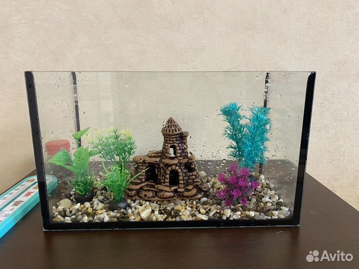 Аквариум и украшения