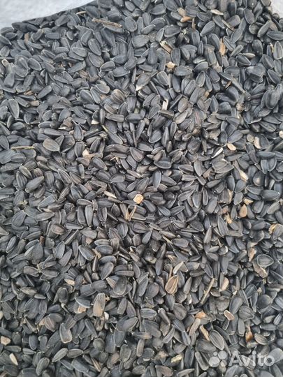 Семечки подсолнечника очищенные