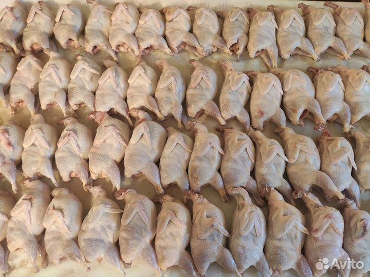 Домашняя птица,мясо