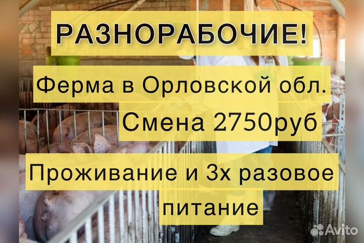 Вахта с проживанием. 2750 смена Орел