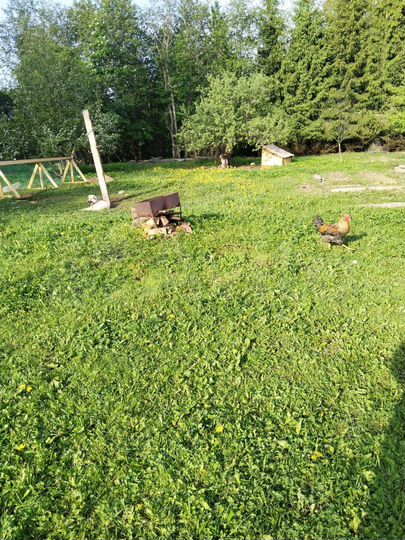 Участок 25 сот. (СНТ, ДНП)