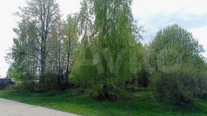 Участок 15,3 сот. (ИЖС)