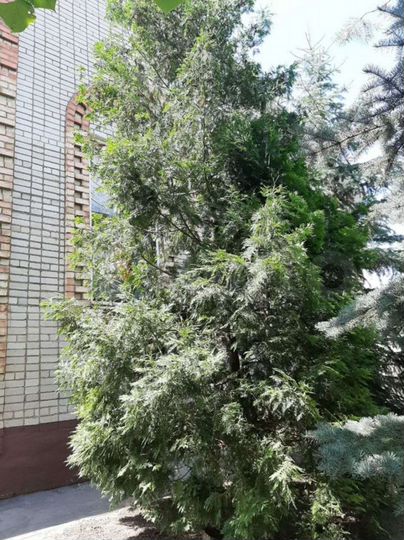 Дом 322 м² на участке 50 сот.