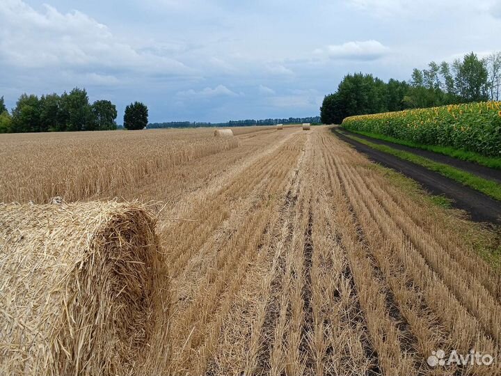 Солома в рулонах