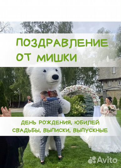 Поздравление от Мишки/ Белый мишка / Поздравления