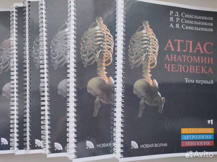 Атлас анатомии человека Синельников (2018-2019)