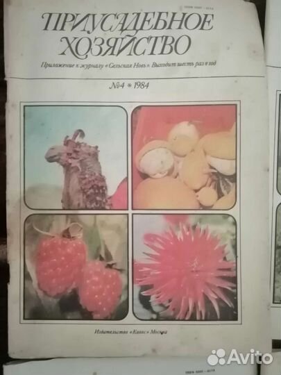 Журнал приусадебное хозяйство