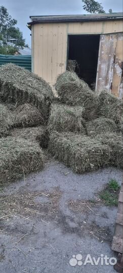 Сено в брикетах