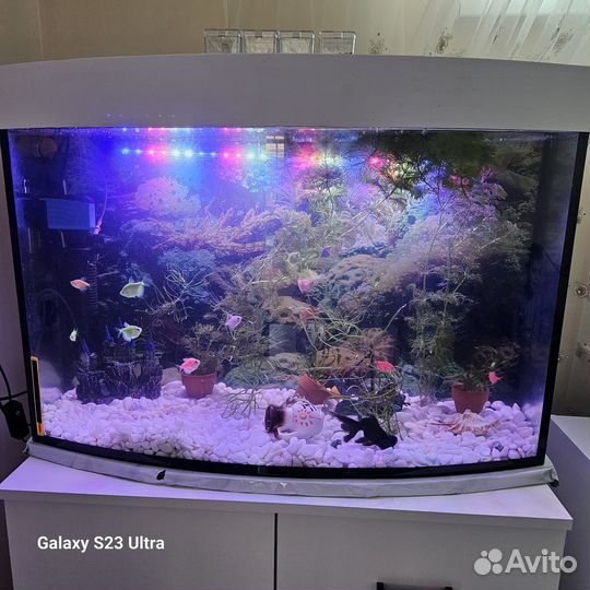 Аквариум с рыбками