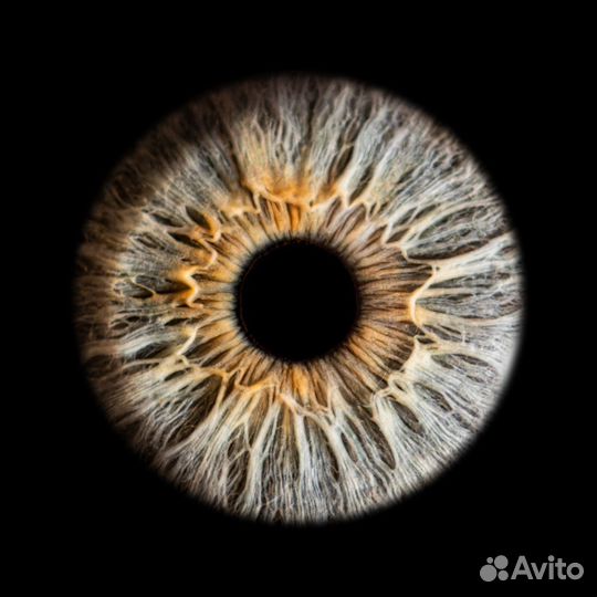 Фото радужки глаза Краснодар