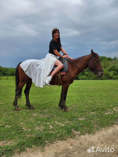 Конные прогулки/Трансфер включён