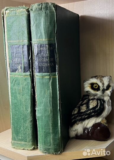 Синельников Р. Атлас анатомии человека 2 тома