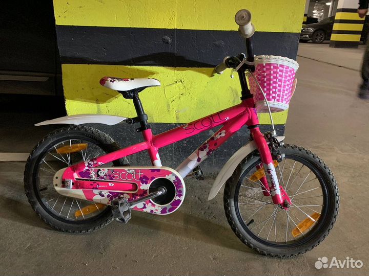 Scott Contessa JR 16