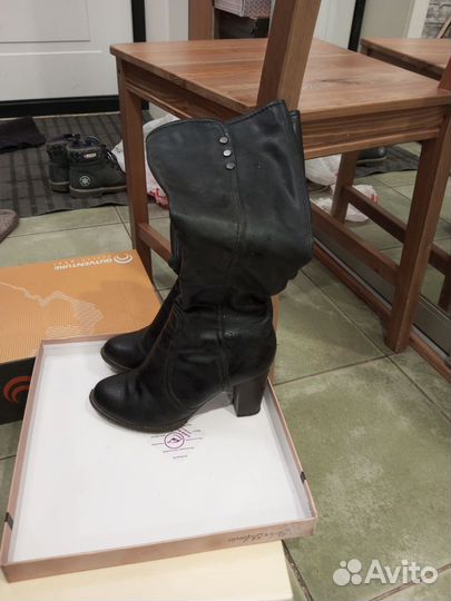 Сапоги женские осенние