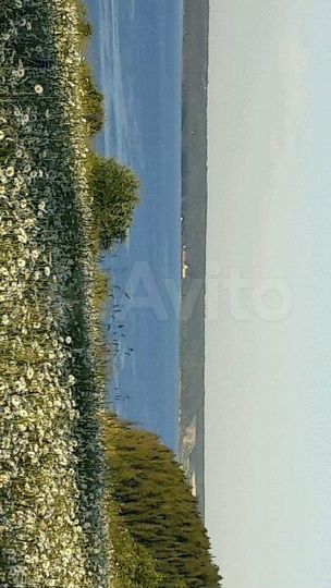 Участок 15 сот. (СНТ, ДНП)