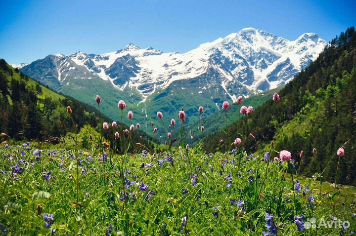 16окт24 тур Сокровища Северного Кавказа рэ3014