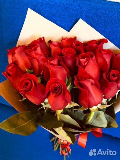 Розы 25 штук 50 см эквадор