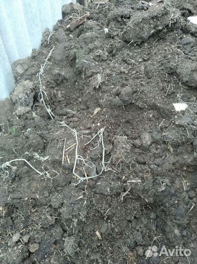 Коровий и козий навоз