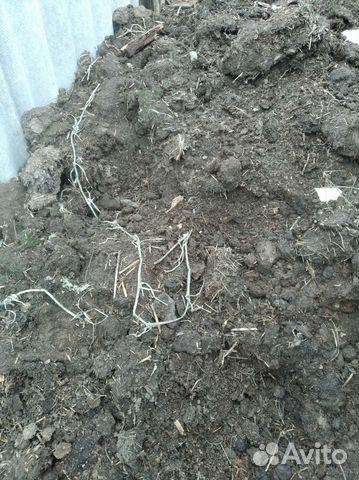 Коровий и козий навоз