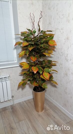 Осенний авокадо, искусственный