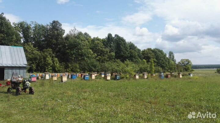 Мед натуральный с чувашии