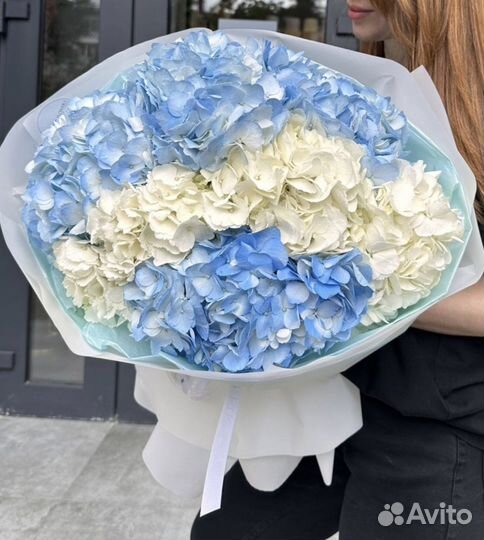Гортензии голландские букеты цветы доставка 24/7
