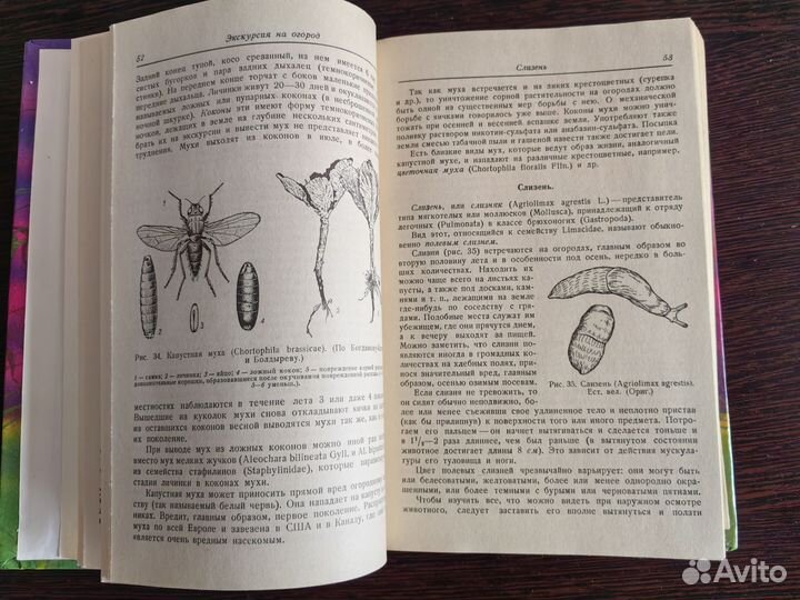 Зоологические экскурсии Райков, Римский-Корсаков