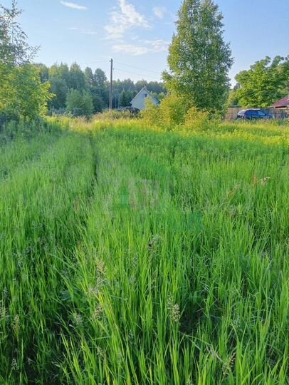 Участок 9,5 сот. (СНТ, ДНП)