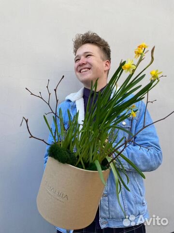 Композиция с живыми луковичными цветами