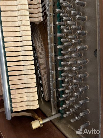 Пианино Ronisch