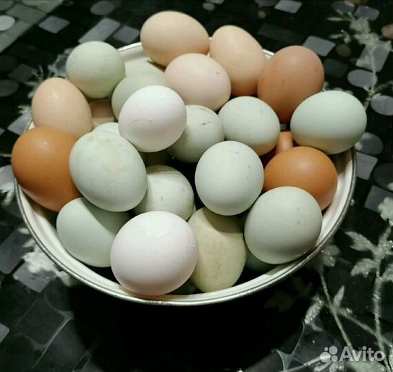 Яйцо на инкубацию микс