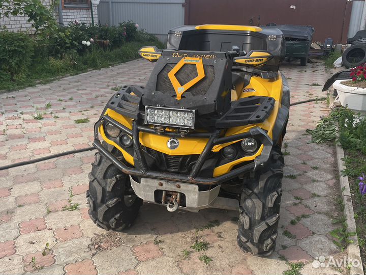 Brp