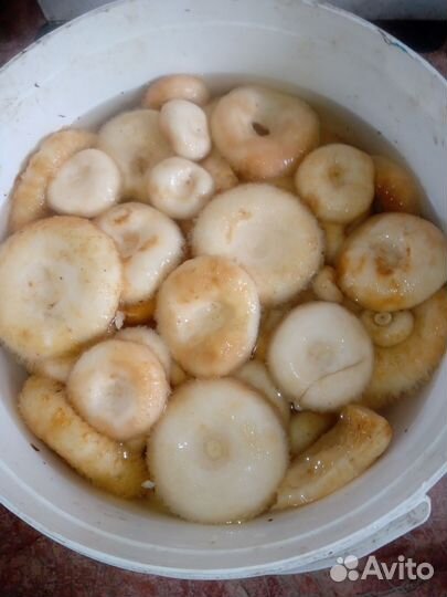 Грибы опята и солёные грузди