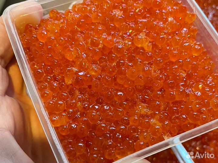 Красная икра кета 2024