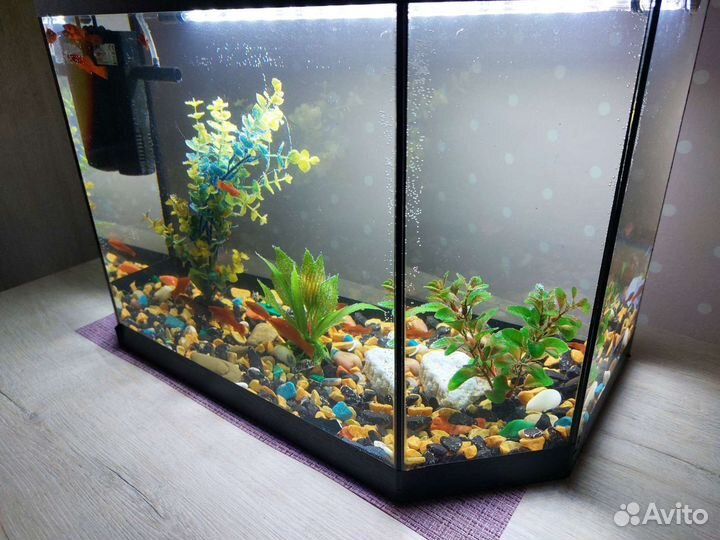 Аквариум
