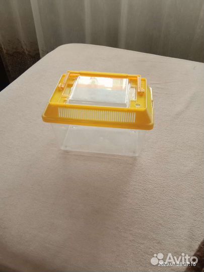 Черепашник-мини