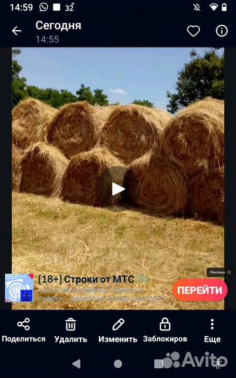 Продам сено в рулонах и в тюках (квадрат)