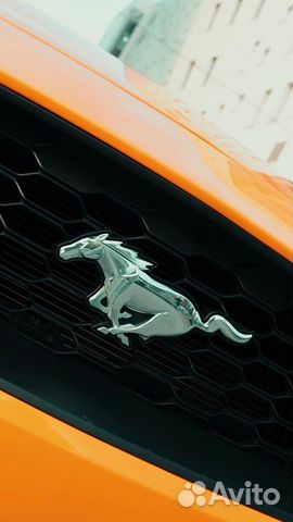 Ford Mustang 2.3 MT, 2019, 50 960 км с пробегом, цена 3100000 руб.