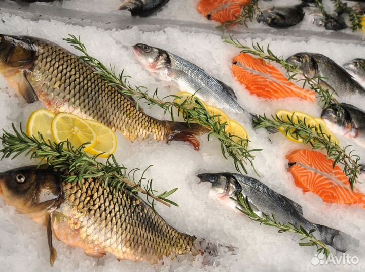 Готовый бизнес в рыбной сфере: начните сегодня