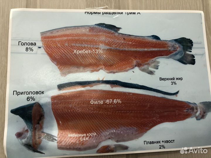 Разнорабочий в рыбный цех