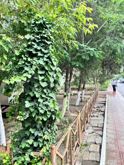 2-к. квартира, 52 м², 5/5 эт.