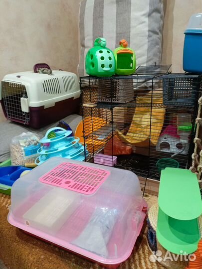 Контейнер,Клетки,корм,гаммарус,домик, туалет