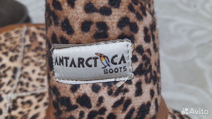 Новые Угги antractida.Размер 36.2 вида