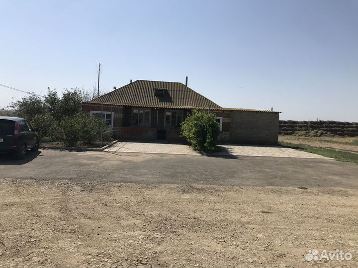 Животноводческая ферма крс молочного направления